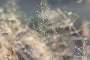 女人要過好日子 可以貌不出眾不可以沒有教養