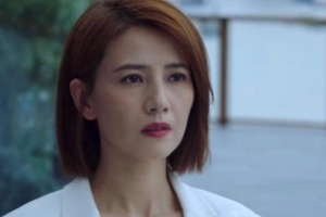 《完美伴侶》講的什么劇情 結局是什么