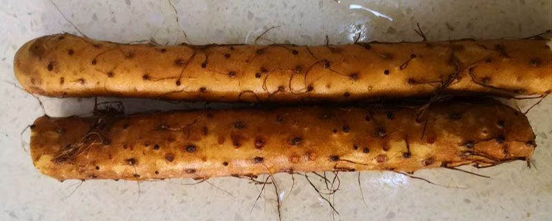山藥羊肉能一起燉嗎 山藥羊肉湯做法 1