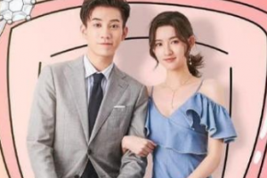 只是結婚的關系劇情介紹 講的什么
