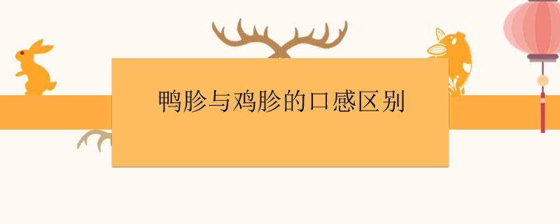 鴨胗與雞胗哪個好吃 雞胗和鴨胗口感有什么區別 1