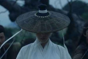 雪中悍刀行白狐兒臉是男是女 南宮仆射身份