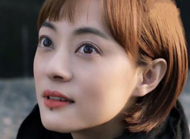 理想之城小說是什么 理想之城講的是什么 3