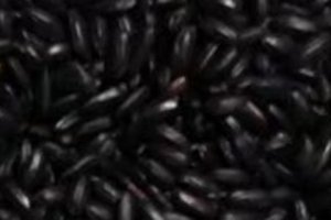 黑芝麻禁忌搭配食物 黑芝麻與什么食物相克?