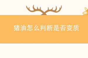 豬油會變質嗎 如何判斷豬油是否變質
