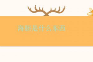海膽是什么東西怎么吃 海膽有什么營養價值