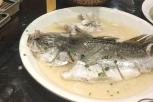 青占魚什么人不能吃 青占魚的禁忌