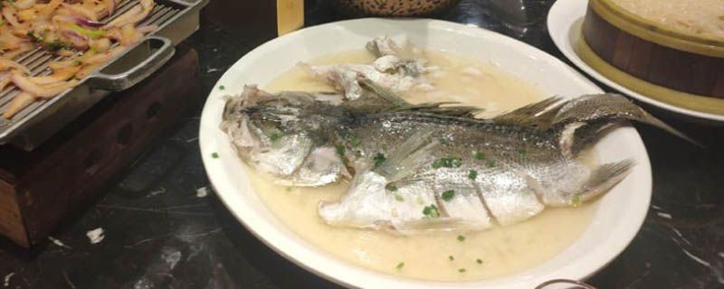 青占魚什么人不能吃 青占魚的禁忌 1