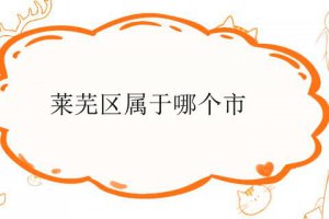 山東省萊蕪區屬于哪個市