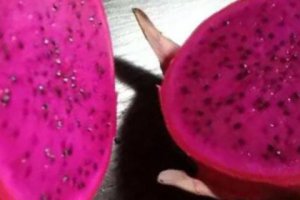 火龍果買來可以放幾天 火龍果能放多久冰箱