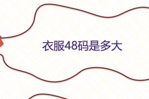 48碼對應的尺寸 衣服48碼是多大尺碼
