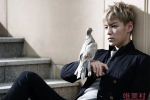TOP開公司培養男團 想要培養的是藝術家