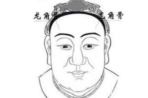 龍角骨和日月角的區別 伏羲骨和龍角骨分別是什么