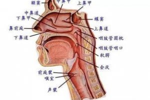 仙家開嘴竅有什么癥狀 仙家打竅喉嚨感覺