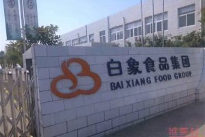 白象被日企圍剿 不愿意接受日企的入資