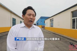插旗菜業董事長致歉 稱會整改到位的