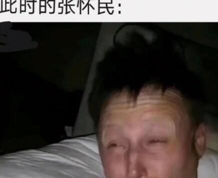 懷民亦未寢什么梗表情包 1