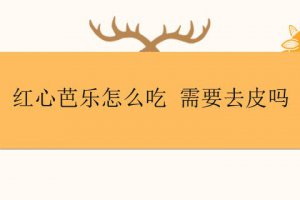 紅心芭樂的正確吃法 紅心芭樂的皮可以吃么