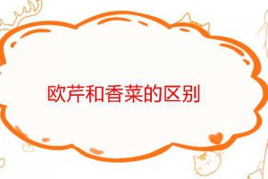 歐芹是不是香菜 歐芹和香菜味道一樣嗎