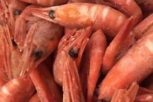 生腌蝦到底能不能吃 生腌海蝦有沒有寄生蟲