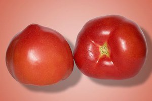 生吃西紅柿有什么營(yíng)養(yǎng) 生吃西紅柿有什么好處