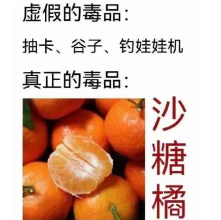 過年炫砂糖橘是什么梗 沙糖桔最近怎么這么火 2