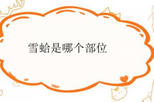 雪蛤吃什么部位 雪蛤是哪個部位可以吃