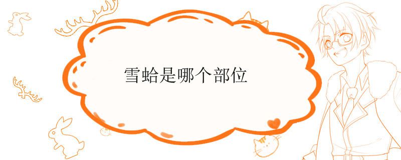 雪蛤吃什么部位 雪蛤是哪個部位可以吃 1