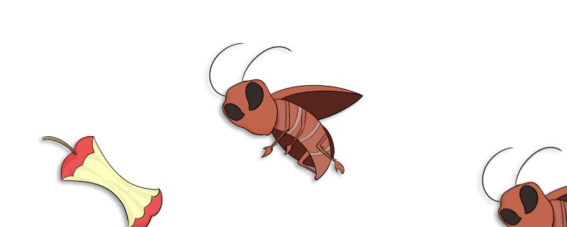 黑條灰燈蛾是否有毒 黑條灰燈蛾會咬人嗎 1