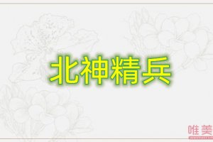 北神精兵是什么梗 出自哪里的