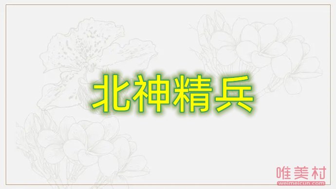 北神精兵是什么梗 出自哪里的 1