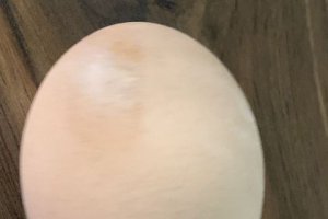 地瓜和雞蛋同吃好嗎