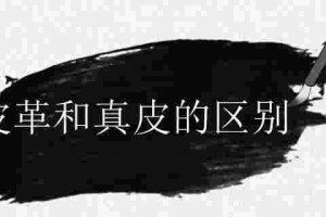 皮革和真皮哪個好