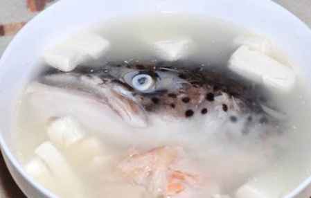 三文魚哪個部位最好吃 三文魚各個部位的吃法 5