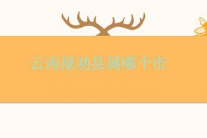 祿勸屬于云南哪個市