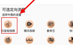 移動花卡寶藏版免流怎么選