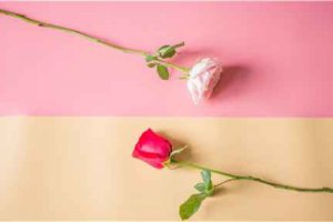 男生和女生打撲克是什么意思