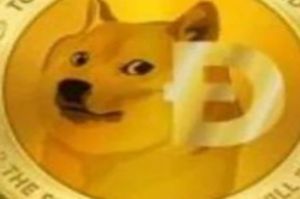 狗狗幣一天能挖多少個?一天挖十萬真的嗎