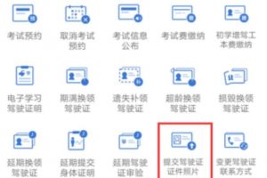 手機怎樣辦理電子駕駛證