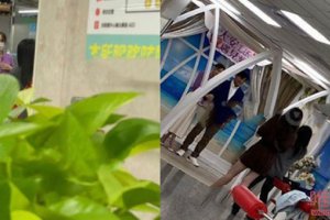 陳喬恩和艾倫結(jié)婚 兩個(gè)人是真心相愛(ài)