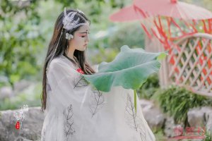 嘉了個(gè)玲山海經(jīng)系列圖片 嘉了個(gè)玲山海經(jīng)在哪看