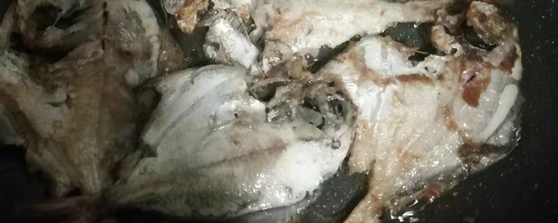 黃金帶魚和普通帶魚有什么區別嗎 1