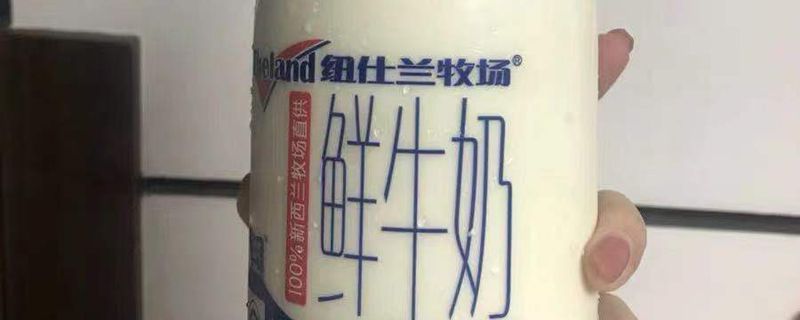 鮮牛奶和純牛奶哪個更好 1