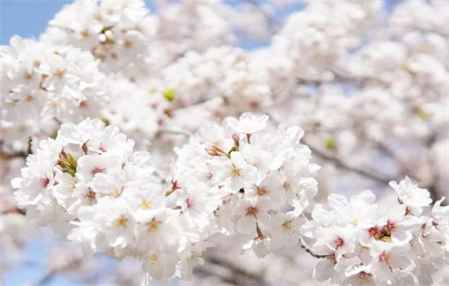 在家宅久了會(huì)抑郁嗎 長(zhǎng)時(shí)間獨(dú)處精神會(huì)出問(wèn)題嗎 2