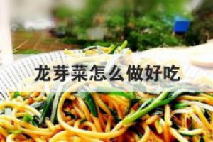 怎樣做芽菜 龍芽菜怎么做好吃竅門