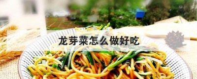 怎樣做芽菜 龍芽菜怎么做好吃竅門 1