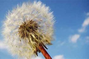 下架網劇都有哪些 全網下架的網劇在哪找資源