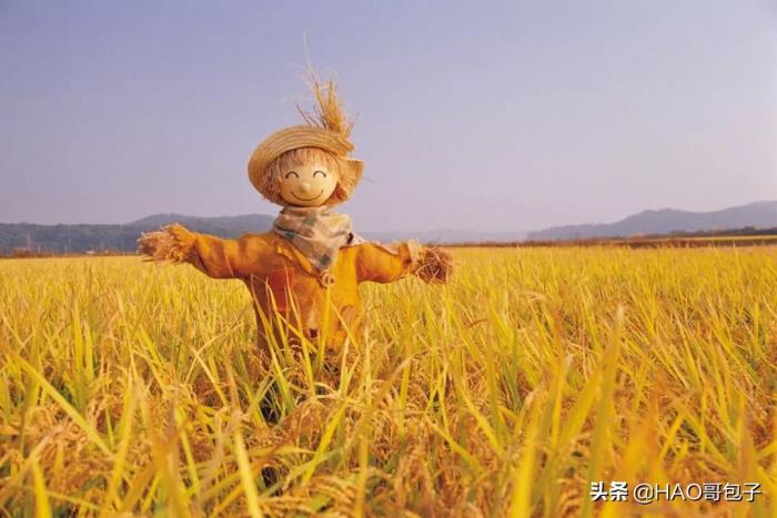 詛咒別人真的很靈嗎 我詛咒過的人都靈驗(yàn)了 1