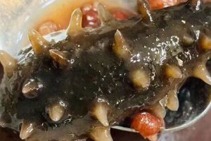 海茄子怎么吃好 海茄子怎么處理才能吃