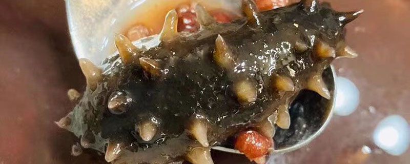 海茄子怎么吃好 海茄子怎么處理才能吃 1